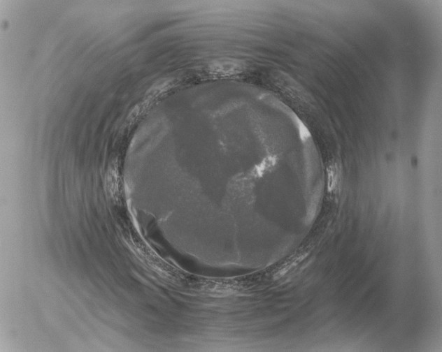 X0000052631011200507221744