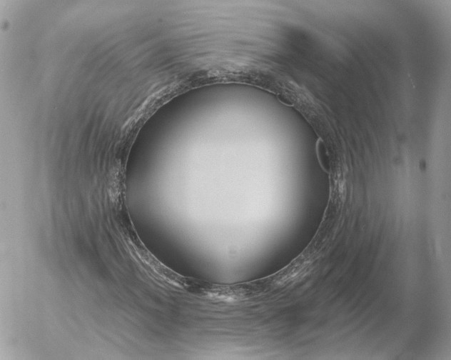 X0000052631012200507221744