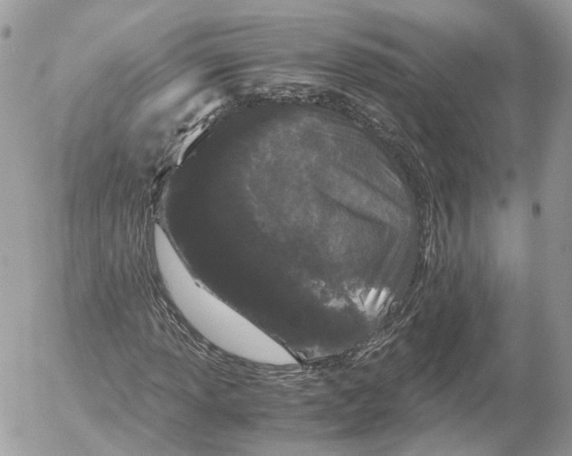 X0000052631013200507221744