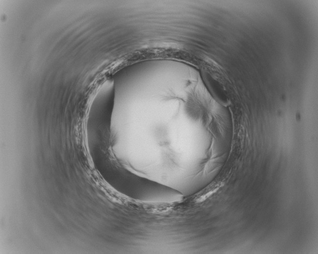 X0000052631014200507221744