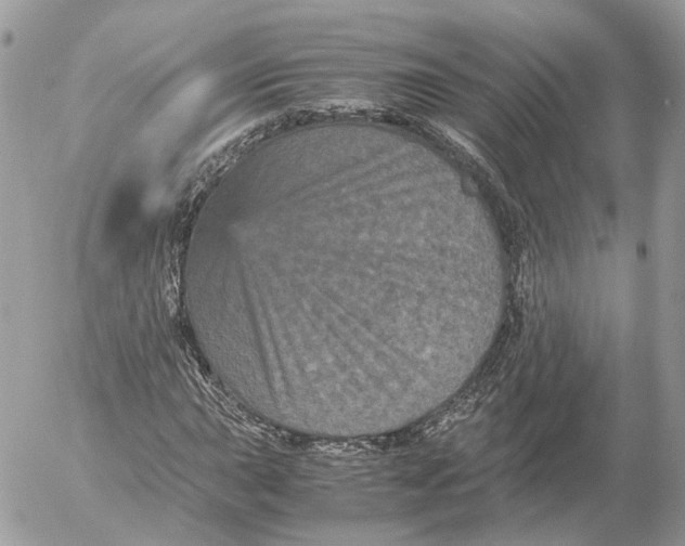 X0000052631015200507221744