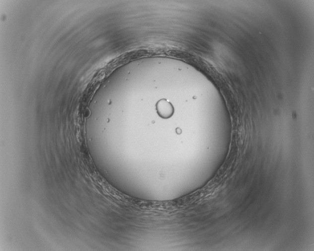 X0000052631016200507221744