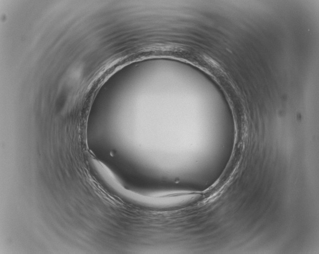 X0000052631017200507221744