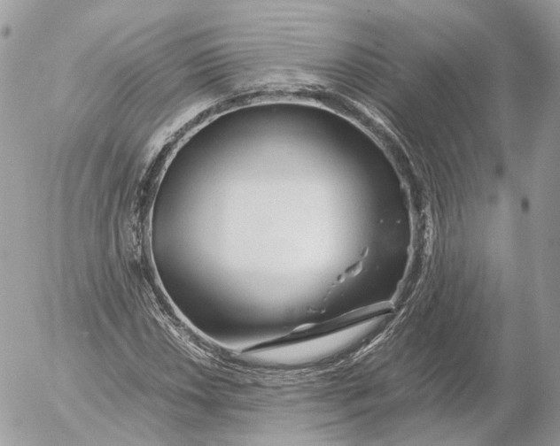 X0000052631018200507221744