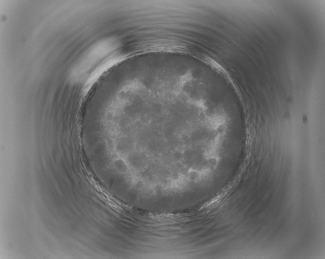 X0000052631019200507221744