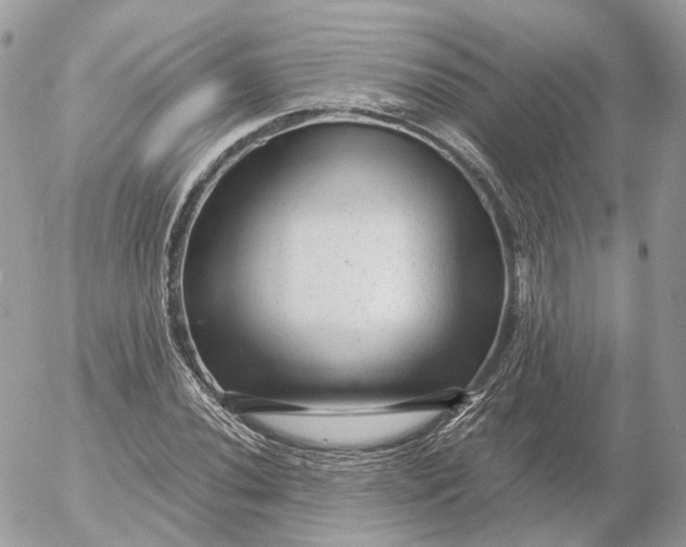 X0000052631020200507221744