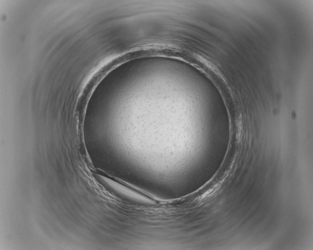 X0000052631021200507221744