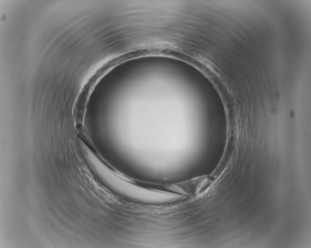 X0000052631022200507221744