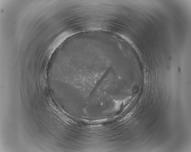 X0000052631023200507221744