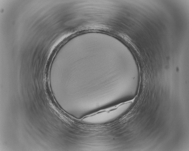 X0000052631024200507221744