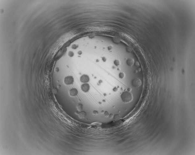 X0000052631025200507221744