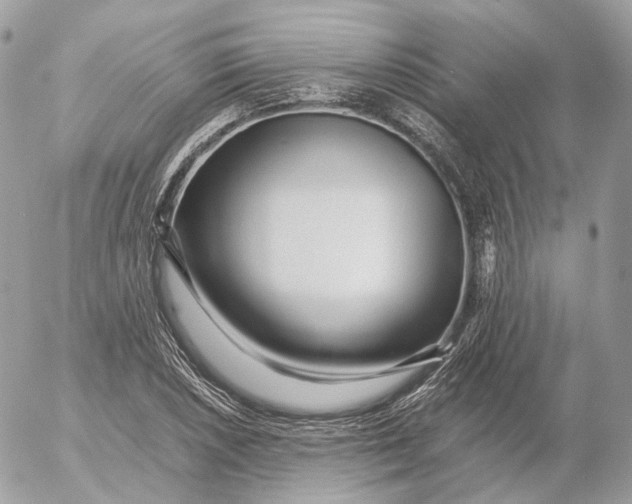 X0000052631026200507221745