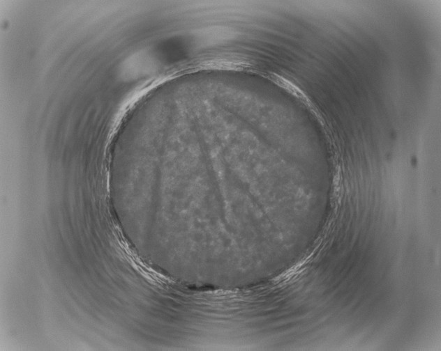 X0000052631027200507221745