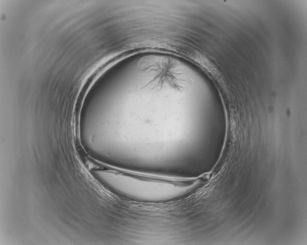 X0000052631028200507221745