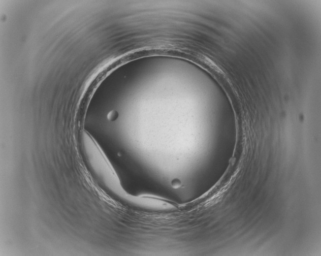 X0000052631029200507221745