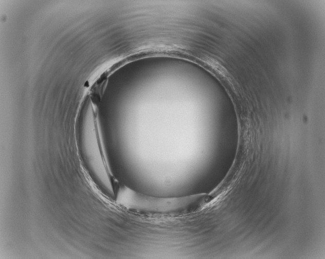 X0000052631030200507221745