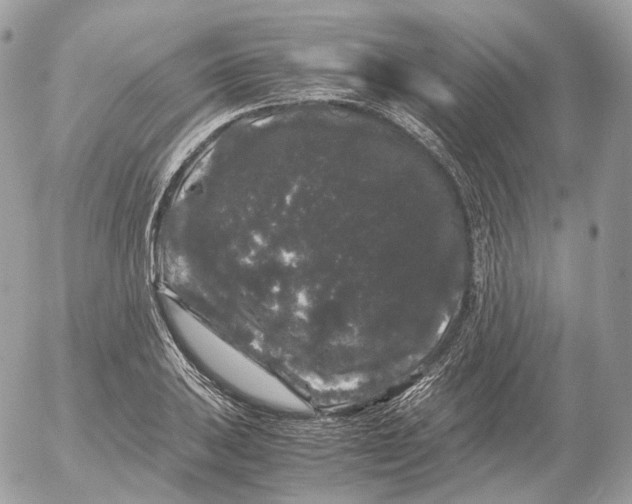 X0000052631031200507221745