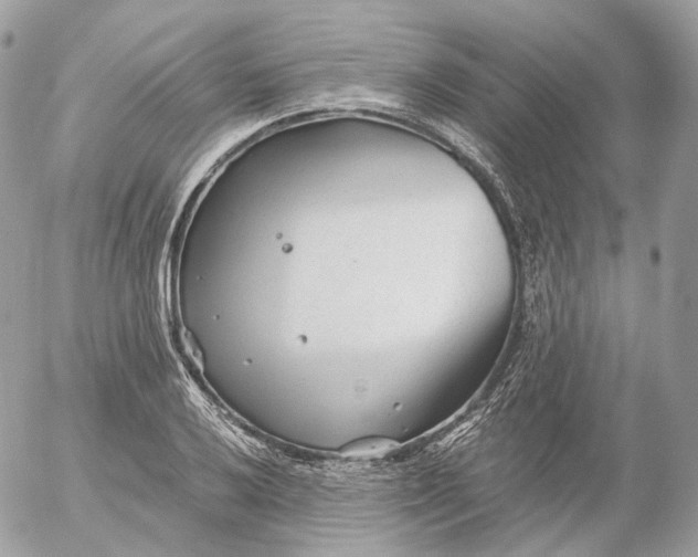 X0000052631032200507221745