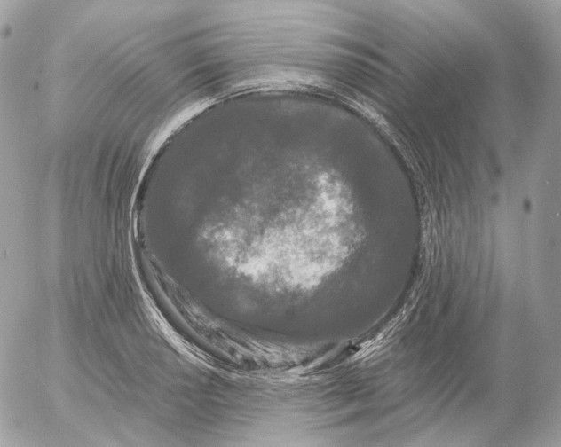 X0000052631034200507221745