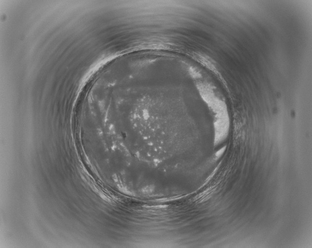 X0000052631035200507221745