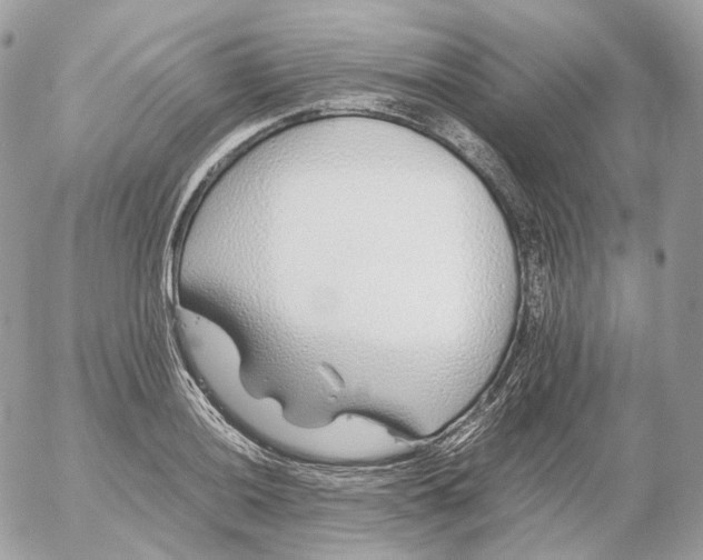 X0000052631036200507221745