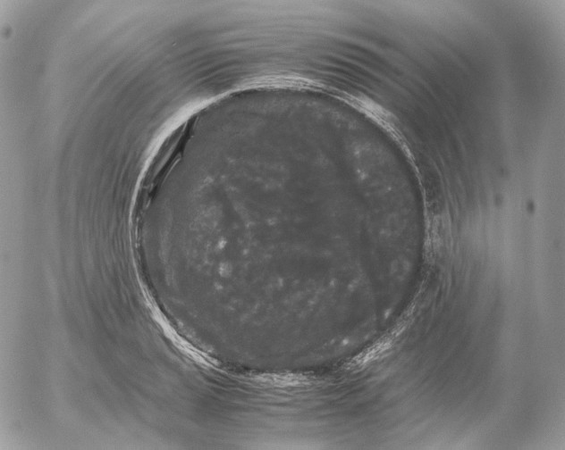 X0000052631037200507221745