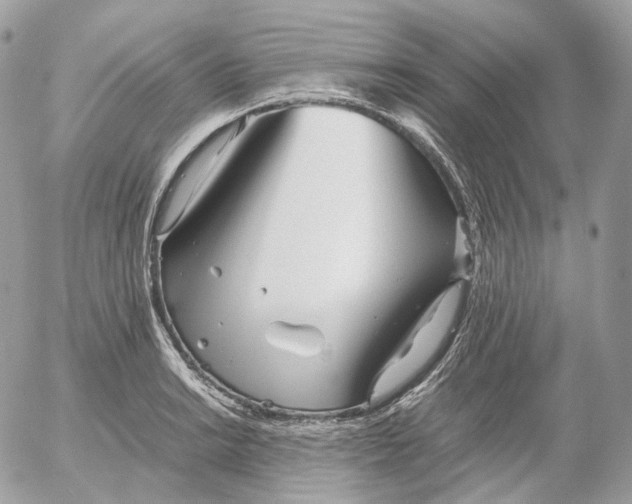 X0000052631038200507221745