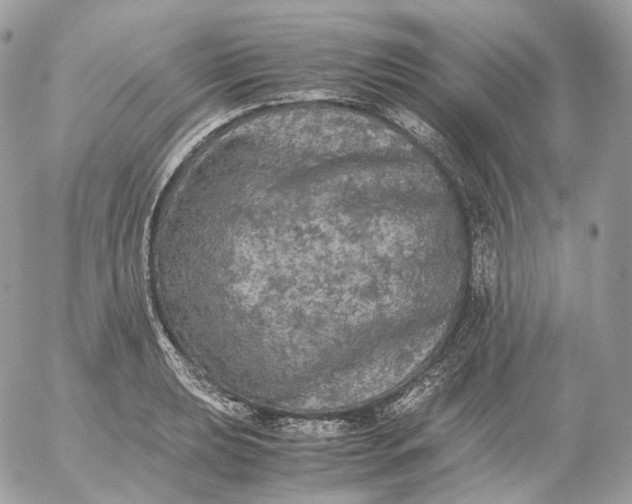 X0000052631039200507221745