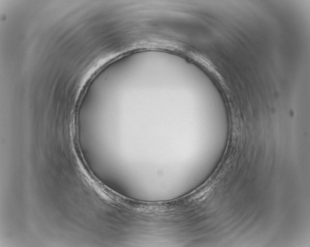 X0000052631040200507221745