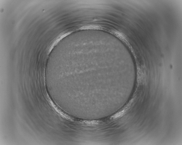 X0000052631041200507221745