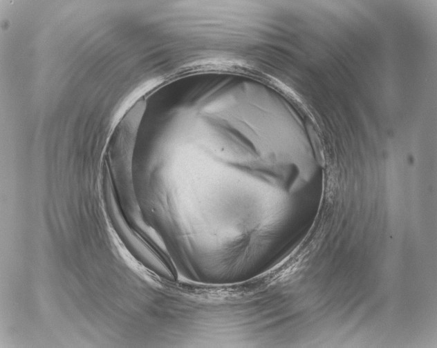 X0000052631042200507221745