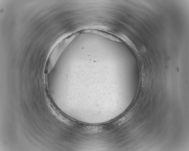 X0000052631044200507221745