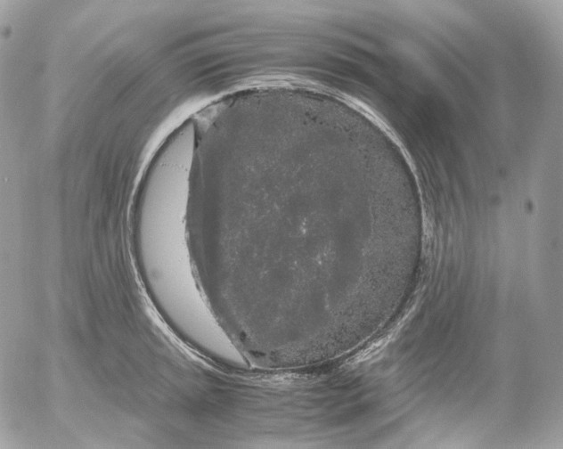 X0000052631045200507221745