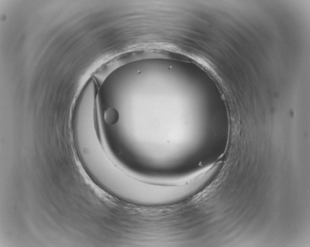 X0000052631046200507221745