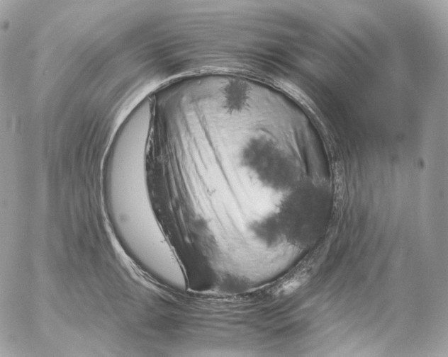 X0000052631047200507221745