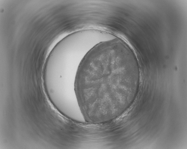 X0000052631048200507221745