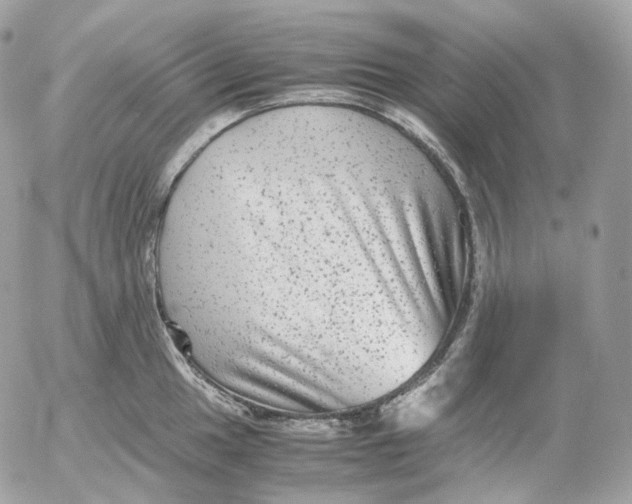 X0000052631049200507221745