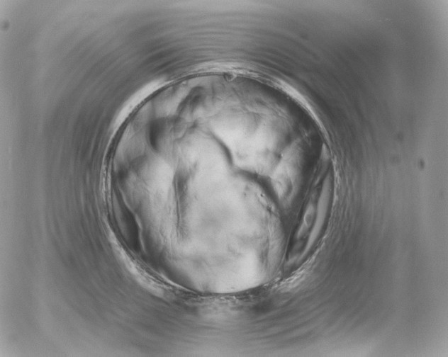 X0000052631050200507221745