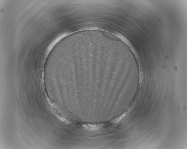 X0000052631051200507221745