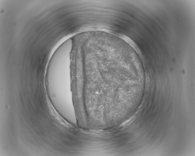 X0000052631052200507221745