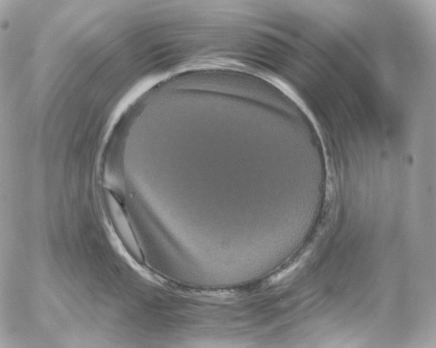 X0000052631053200507221745