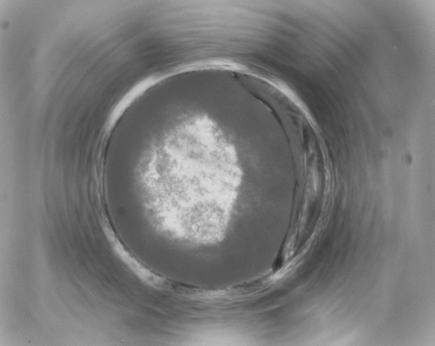 X0000052631054200507221745