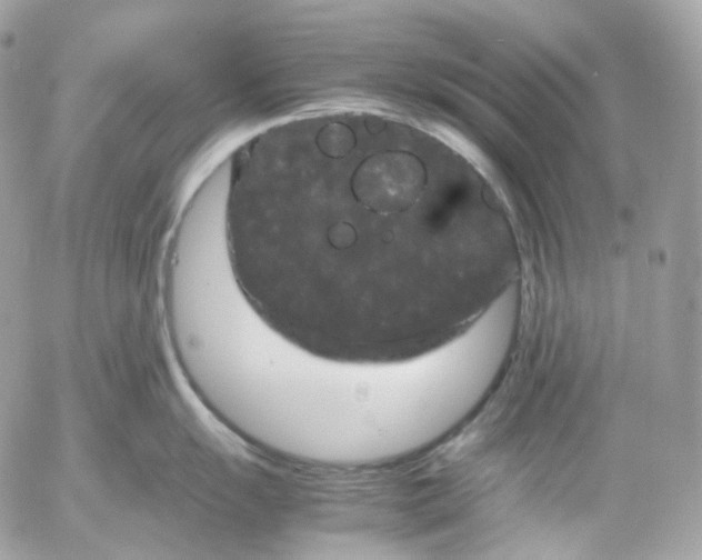 X0000052631055200507221745