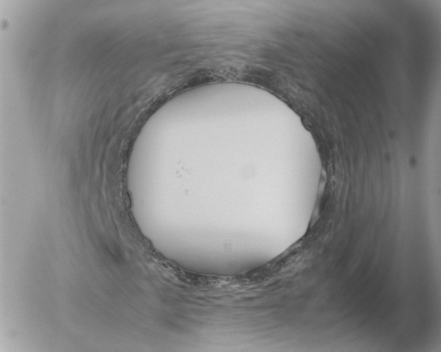 X0000052631057200507221744