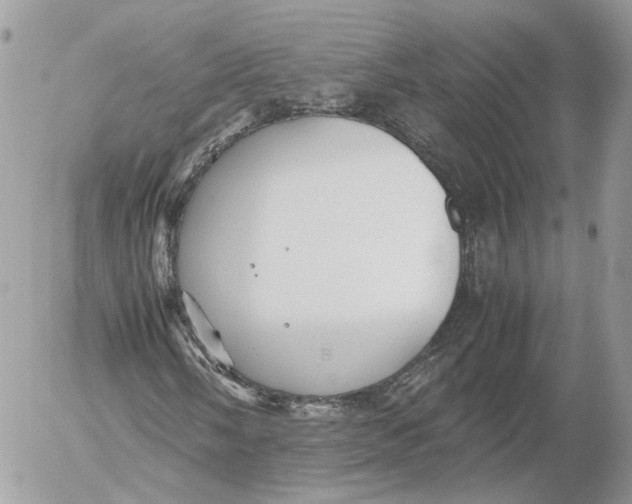 X0000052631058200507221744