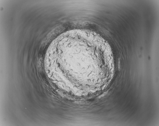 X0000052631059200507221744