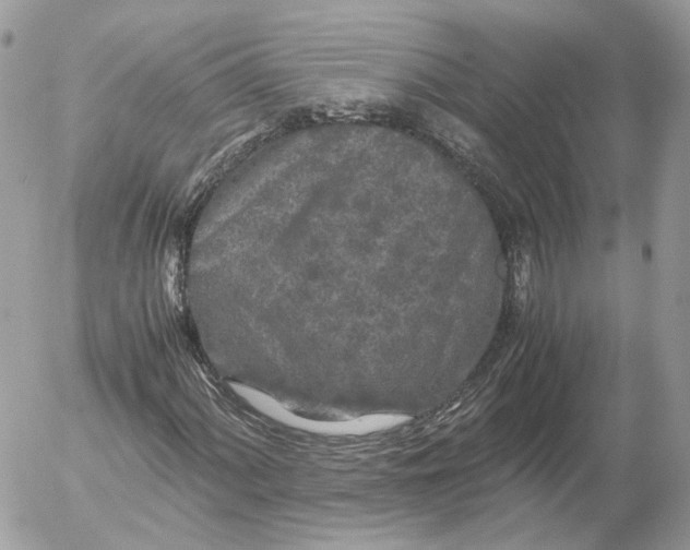 X0000052631060200507221744