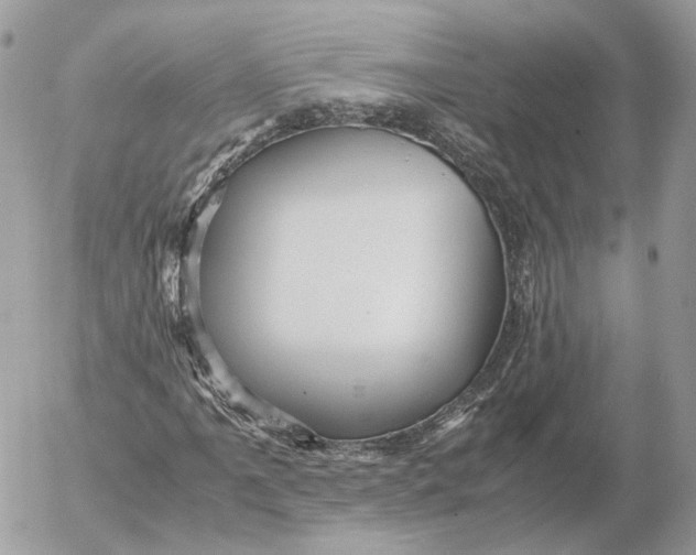 X0000052631061200507221744