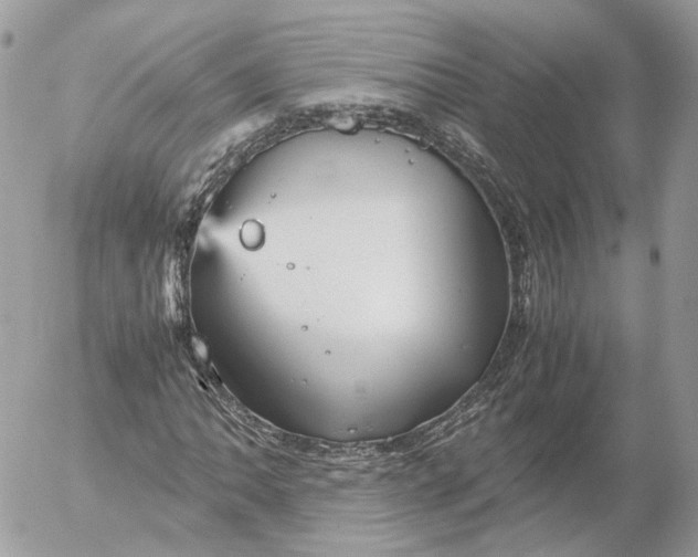 X0000052631062200507221744