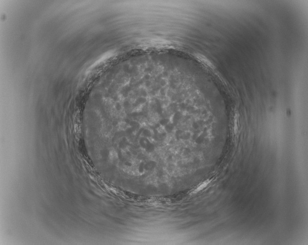 X0000052631063200507221744